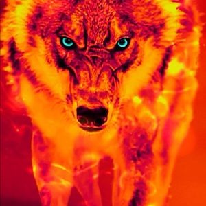 Meet your Posher, Kenan